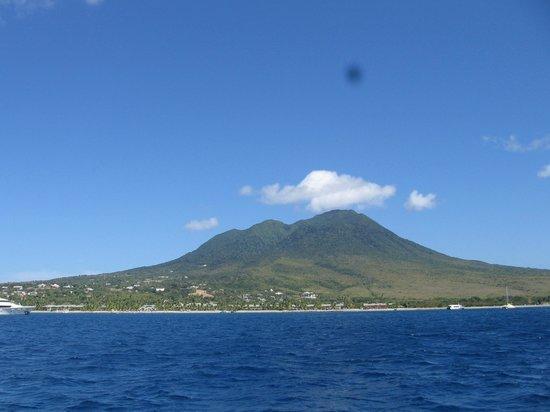Caribbean Catch