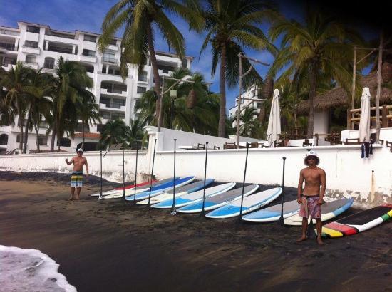 Oasis Paddle Boarding School