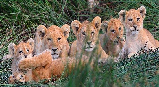 Nature African Travel