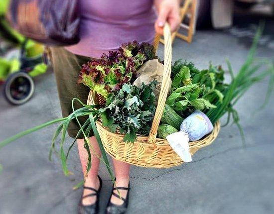 Colorado Farm And Art Market