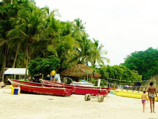 Pura Vida Princess Catamaran Cruises