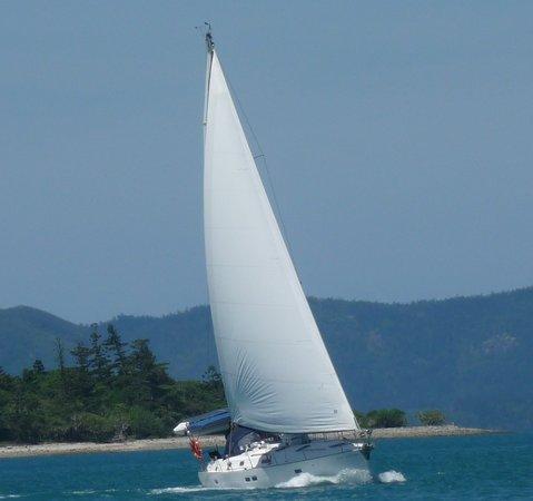 Great Sailing Essentials - Say No More