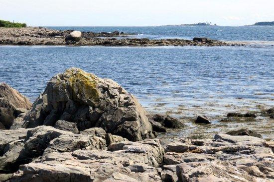 Timber Point Trail