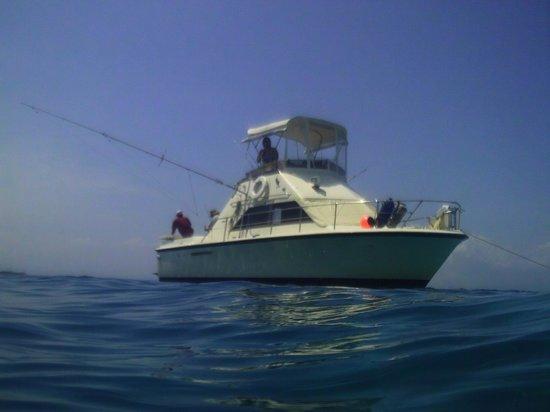Sea Dreams Charter