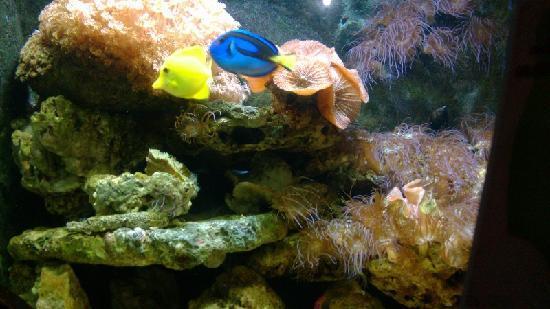 Hangzhou Underwater World