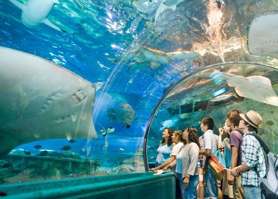 UnderWater World
