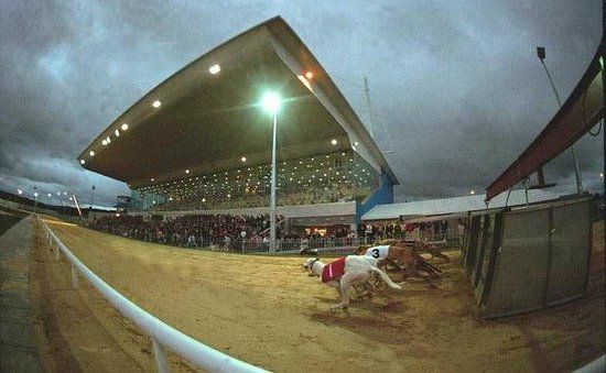 Greyhound Stadium