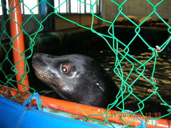 Cet-Mar Aquarium