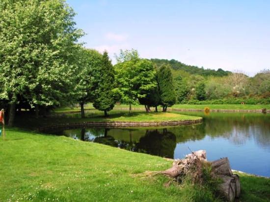 Whin Park