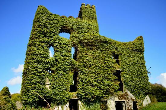 Menlo Castle