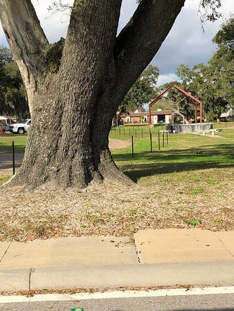 Great Oaks