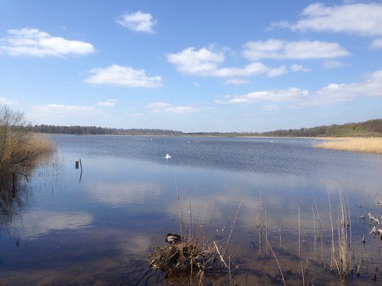 Aqualate Mere