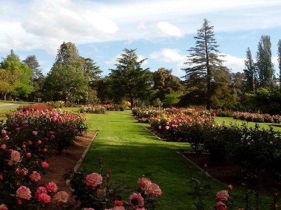 Wagga Wagga Botanic Gardens