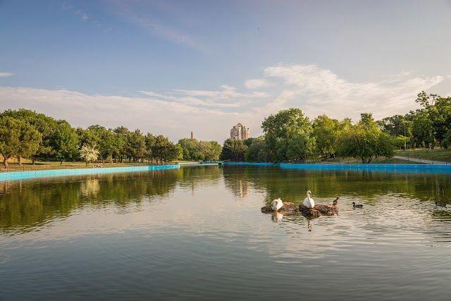 Peremohy Park