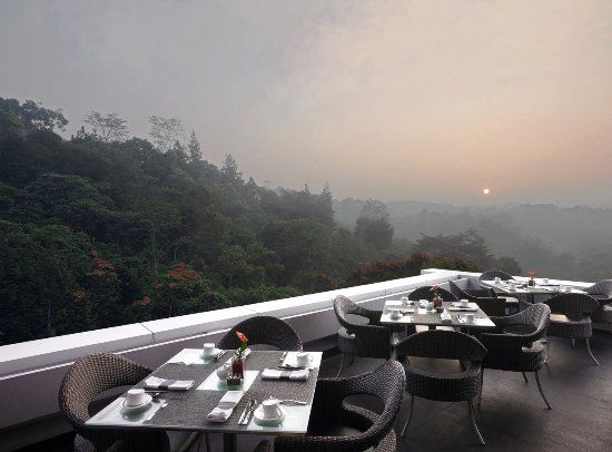 The Restaurant