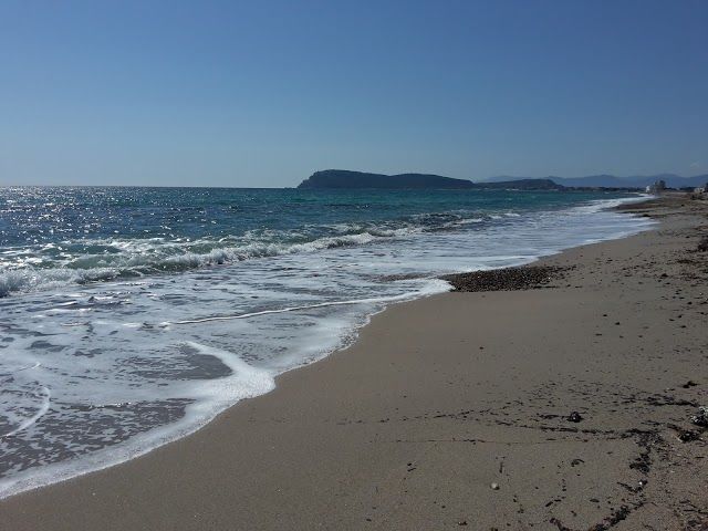 Beer Beach