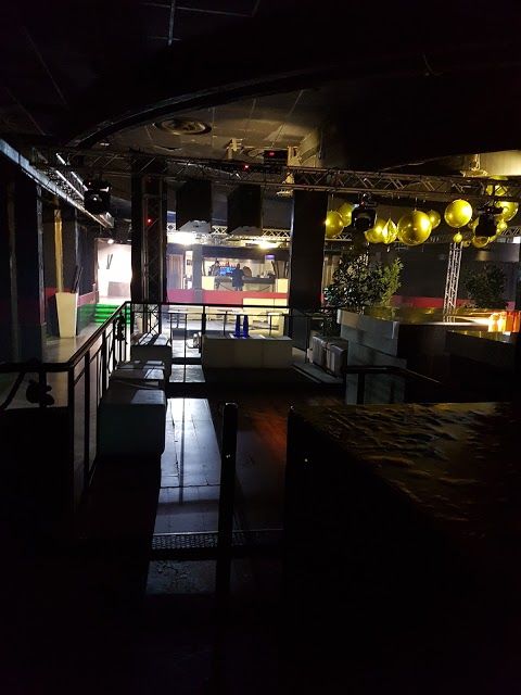 Kuku Disco