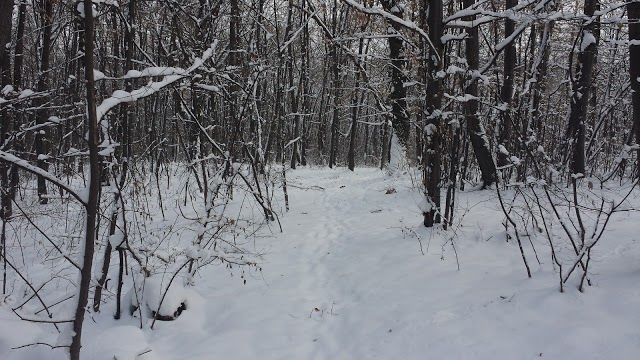 Kosutnjak Park