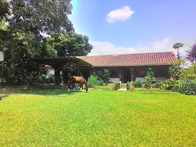 Shyam Ashram