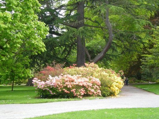 Hagley Park