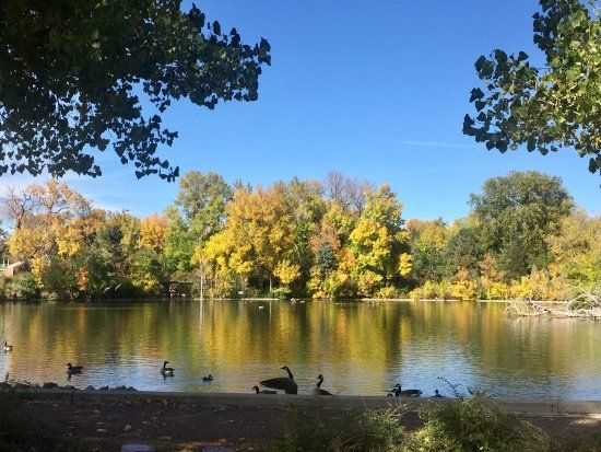 Washington Park