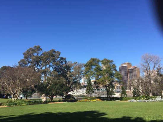 The Domain