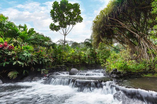 Tabacon Hot Springs