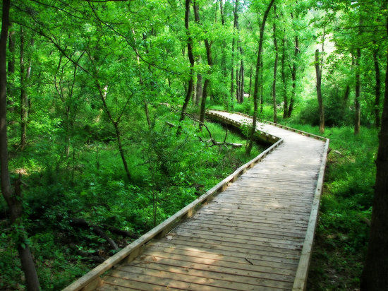 Lake Conestee Nature Park