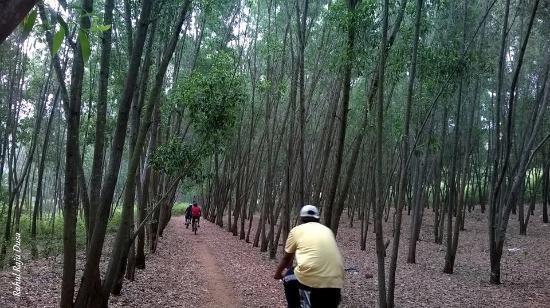 Turahalli Forest