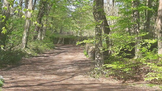 Linacre Reservoir