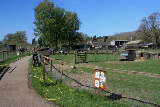 Thrift Farm