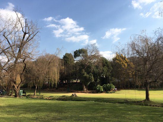 Magnolia Dell