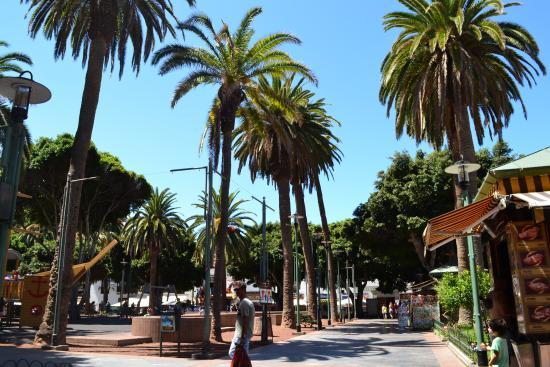 Plaza Charco