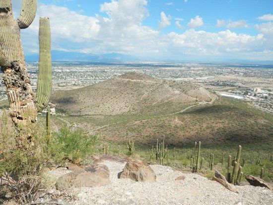 Tumamoc Hill
