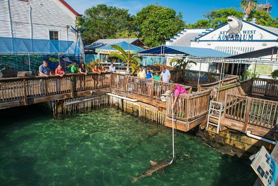 Key West Aquarium