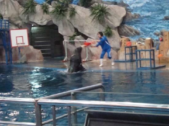 Qujiang Ocean World