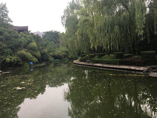 Qingfeng Park
