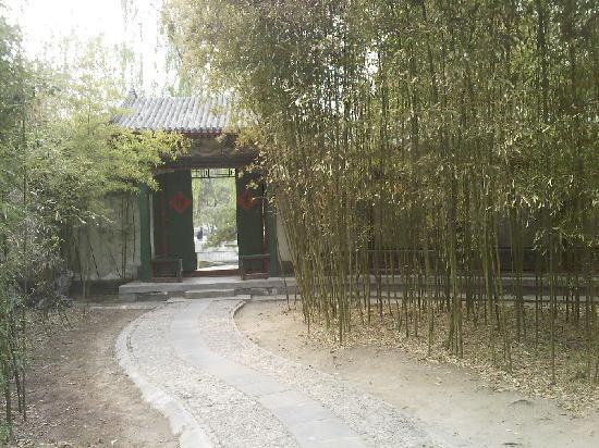 Grand View Garden
