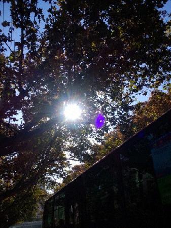 Yongyang Park