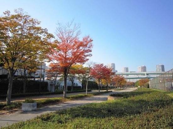 Tatsuminomori Seaside Park