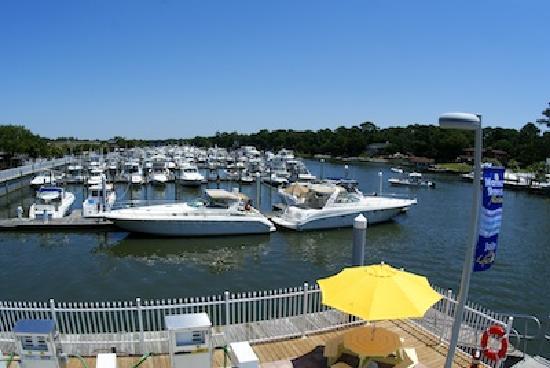 Marina Shores Marina