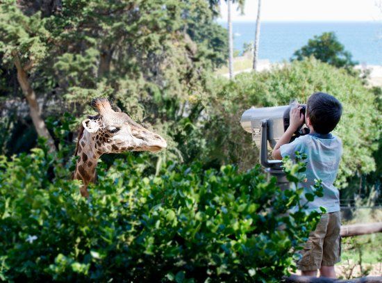 Santa Barbara Zoo