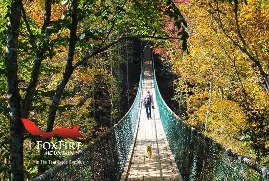 Foxfire Mountain Adventure Park