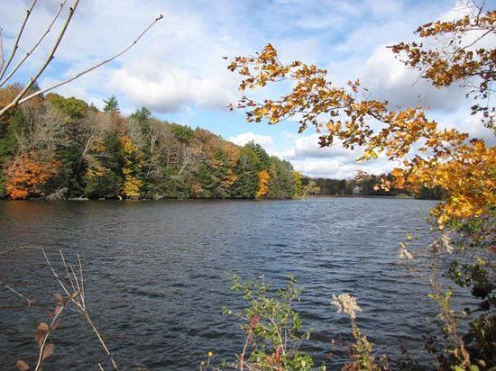 Wood's Pond