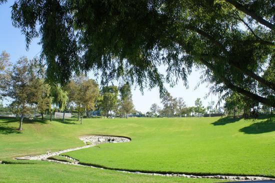 Poinsettia Park