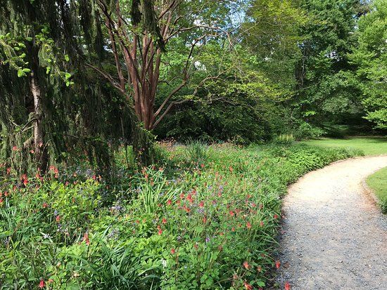 Coker Arboretum
