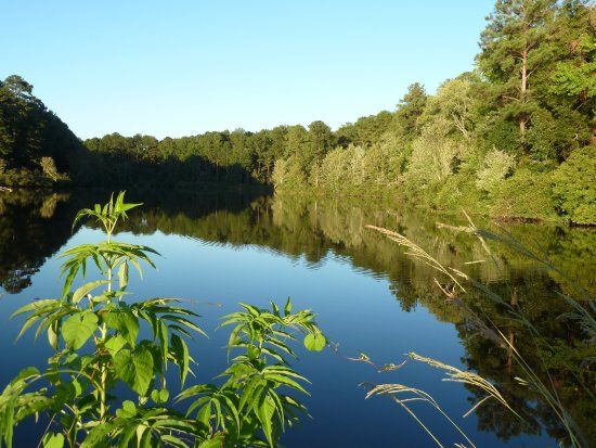 Lake Peachtree