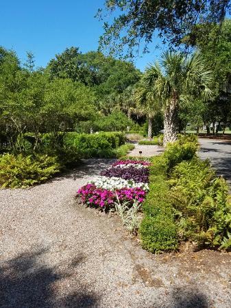 Night Heron Park