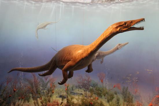 Zhejiang Museum of Natural History