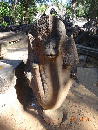 Naga